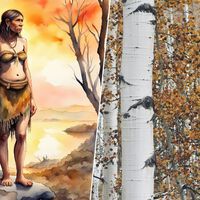 Hace miles de años, los neandertales ya habían descubierto el primer "antiséptico": el alquitrán de abedul