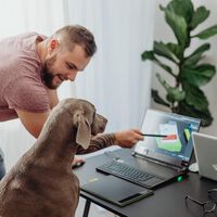 Si queréis que volvamos a estar a gusto en un trabajo presencial, dejad que nos llevemos al perro  