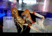 Los viveros de empresas y su utilidad