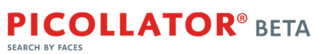 Picollator multimedia search engine