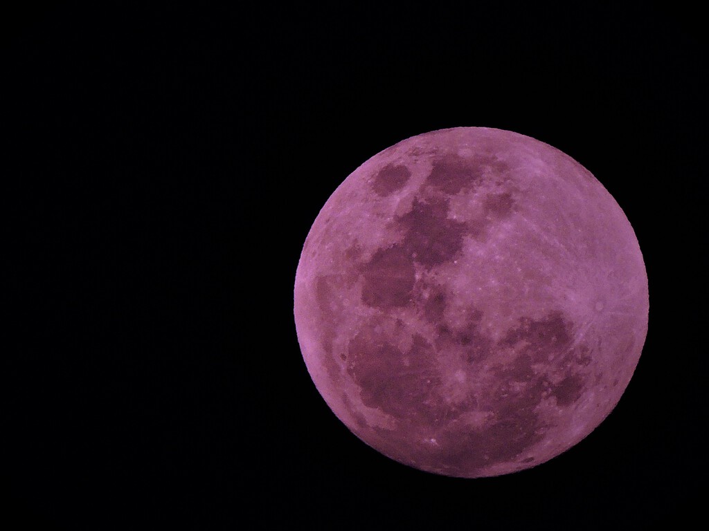 Ya está aquí la Luna rosa y de nuevo hay fotos falsas por todas partes
