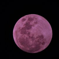 Ya está aquí la Luna rosa y de nuevo hay fotos falsas por todas partes 