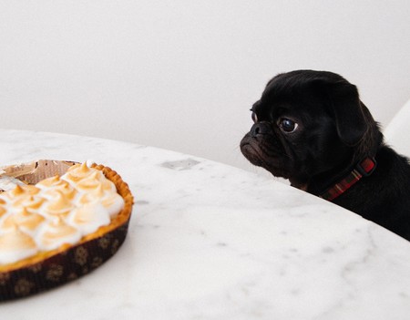 ¿Te pones de mala uva cuando estás a dieta? Así puedes perder peso sin que influya en tu humor
