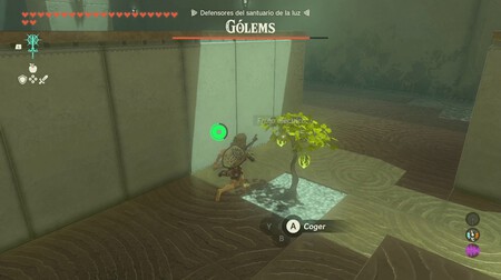 Zelda TOTK Ioqu'sin  4