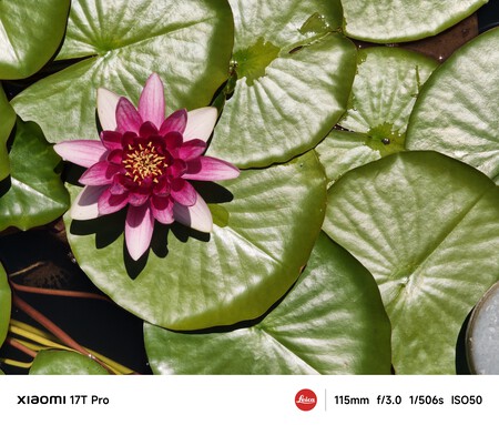Xiaomi 17T Pro telefoto