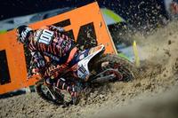 AXO Dyemax Animalier, un tigre en la pista