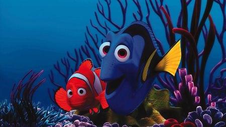 'Buscando a Nemo', cosas que perdimos en la tormenta