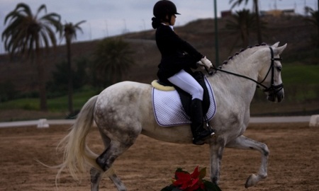 ¿Se ha de apostar a un único 'caballo ganador'?