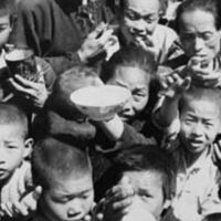 O inimigo número um da China não era um país, mas sim passarinhos: o plano radical que provocou a maior crise de fome da história