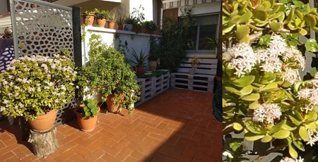 Camara Meizu M6 Note