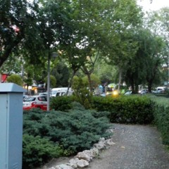 Foto 9 de 10 de la galería fotografias-tomadas-con-huawei-ascend-p7 en Xataka