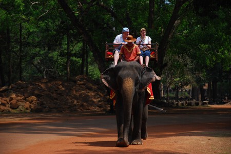 Montando Elefante