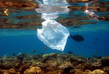 Estas bacterias podrían comerse el plástico de nuestro océanos