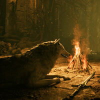 Este adorable perro que estás viendo será el protagonista de un soulslike que se inspira en los juegos de FromSoftware 