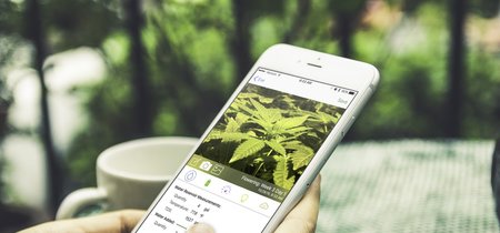 Feliz 420: tres redes sociales para los amantes de la marihuana 