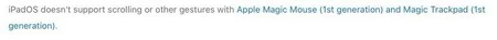 iPadOS は、第 1 世代の Magic Mouse および Magic Trackpad でのスクロールやその他のジェスチャをサポートしていません