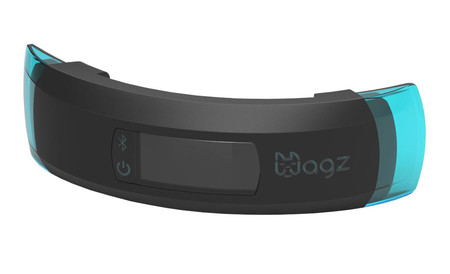 Wagz Collar