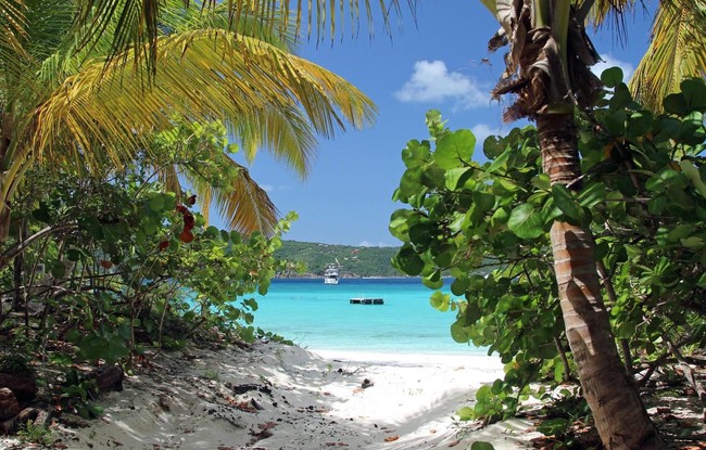 Guana Island