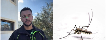 Joan Calderón, jardinero: "Muchas personas te dirán que uses sprays o velas para repeler a los mosquitos, pero yo uso estas tres plantas"