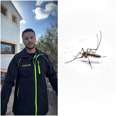 Joan Calderón, jardinero: "Muchas personas te dirán que uses sprays o velas para repeler a los mosquitos, pero yo uso estas tres plantas"