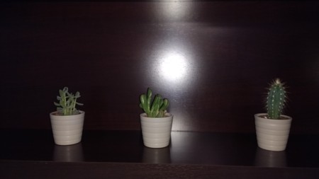 Img 20160617 121018076