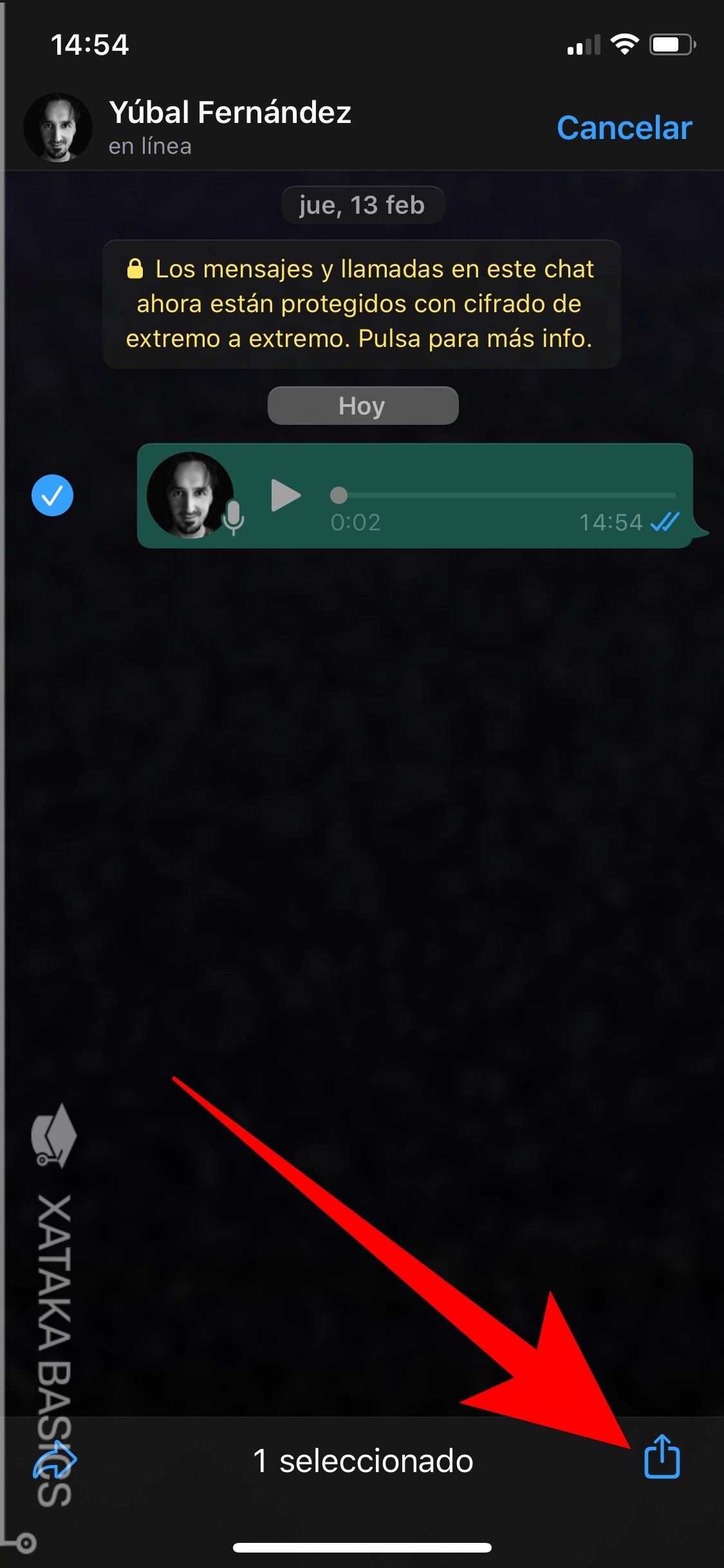 Dónde se guardan los audios de