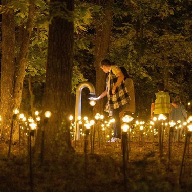 Esta es la exposición en un jardín en CDMX donde puedes vivir el arte en horario nocturno: dónde, cuándo y cómo llegar