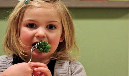 Especial Alimentación infantil: recetas para niños de entre dos y tres años (II)