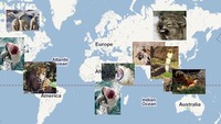 Lugares del mundo donde te pueden comer vivo