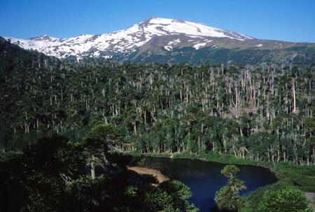 Copahue podría ser Patrimonio de la Humanidad 