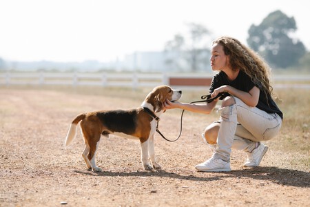 Una chica junto a su perro