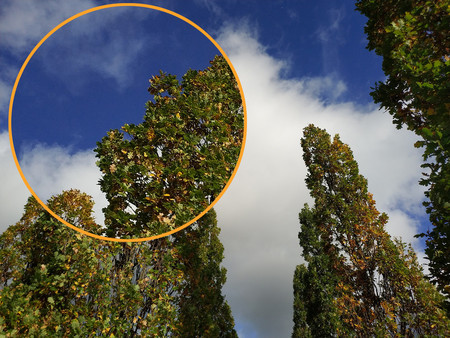 Xiaomi Mi Mix 2 cámara prueba