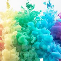 Esqueça o gato: o maior mistério deixado por Schrödinger era sobre as cores, e a ciência levou 100 anos para resolvê-lo 