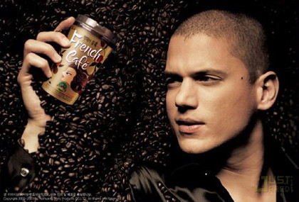 Wentworth Miller, el protagonista de Prison Break, niega ser gay
