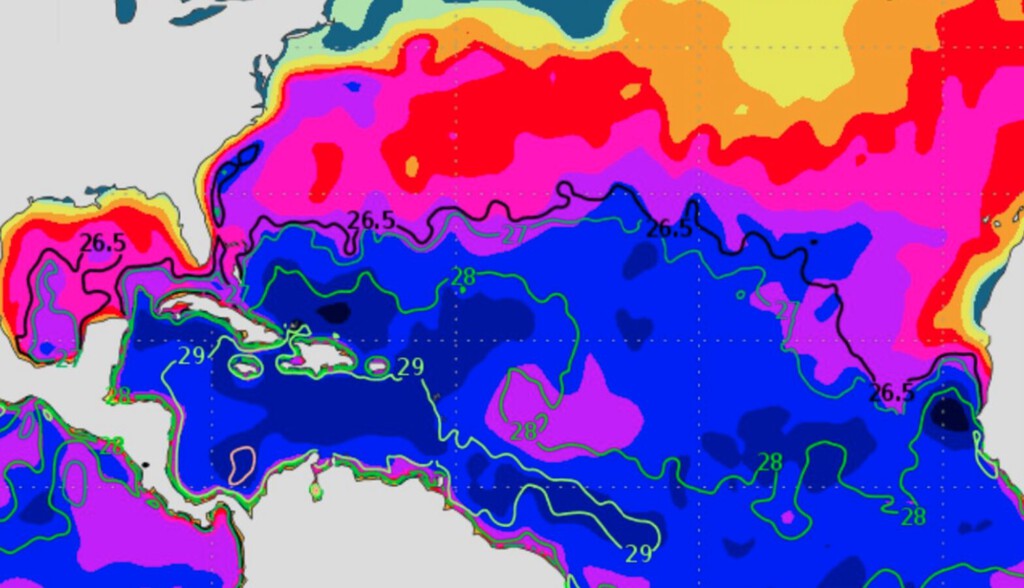 Lo que realmente dice la ciencia sobre 