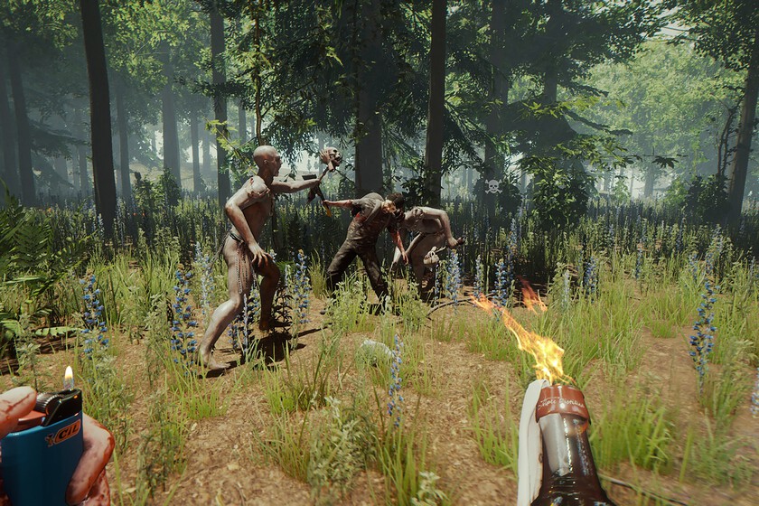 The Forest
