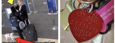 Una mujer fue acusada de ahogar a su perro en el baño del aeropuerto de Orlando para poder abordar un avión a Colombia: el CCTV reconstruyó sus pasos 