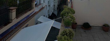 Leroy Merlin tiene la solución para garantizar la privacidad en terrazas y jardines: una jardinera con celosía de diseño moderno, ideal para plantas trepadoras 