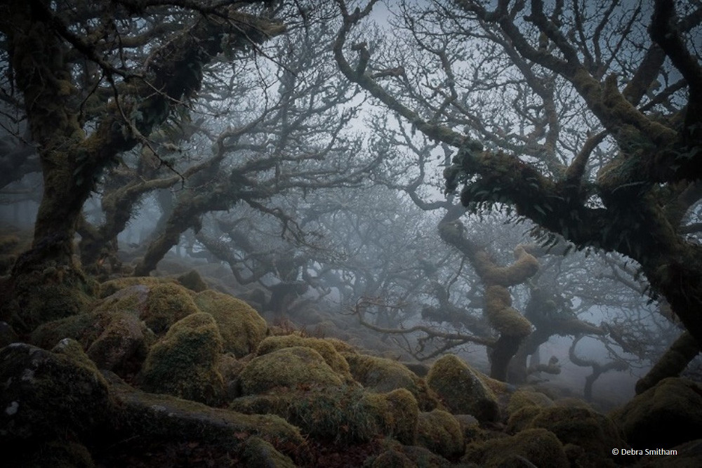 Finalista: Debra Smitham con ‘The mystical, ancient Wistmans Wood in Dartmoor’: