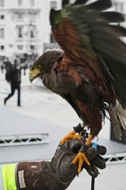 trafalgar