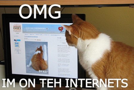 Internet is a series of blogs (LXXII)