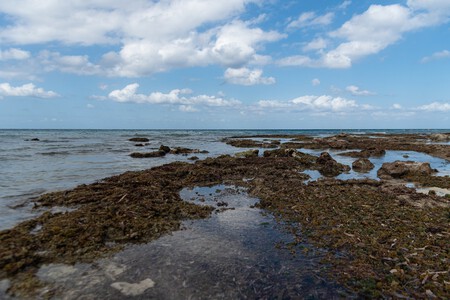 Disparo De Alto Angulo De La Tranquila Costa Del Oceano Bajo El Cielo Nublado