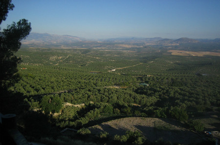 irse por los cerros de úbeda jaen