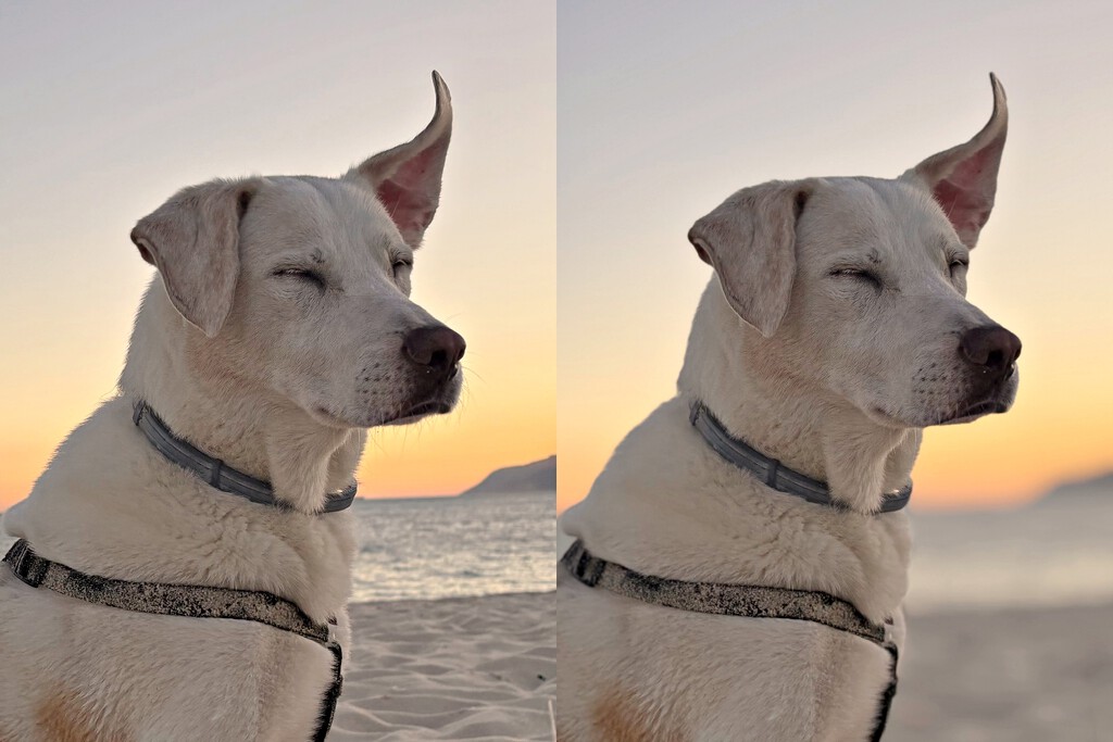 Acabo de descubrir que el iPhone puede convertir en retratos fotos que no lo son. Así se hace Acabo de descubrir que el iPhone puede convertir en retratos fotos que no lo son. Así se hace