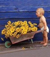 El bebé no quiere cambio de pañal