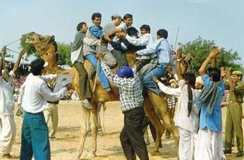 El Festival del Sahara