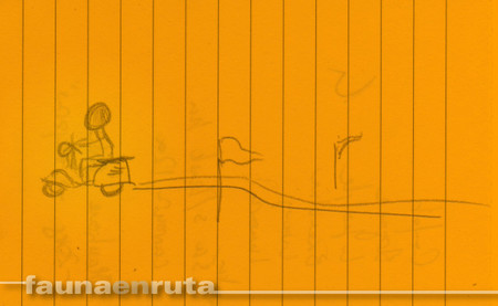 fauna en ruta: motos en eslalon