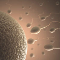 La obesidad del hombre empeora el esperma y la salud de sus hijos