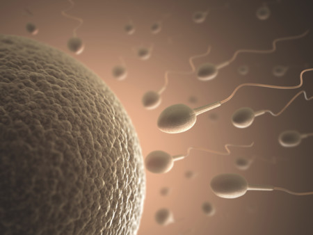 La obesidad del hombre empeora el esperma y la salud de sus hijos
