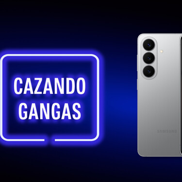 Cazando Gangas